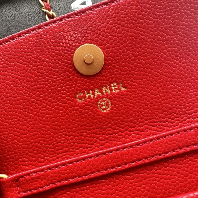 Chanel Satchel Bags-210 - Image 9