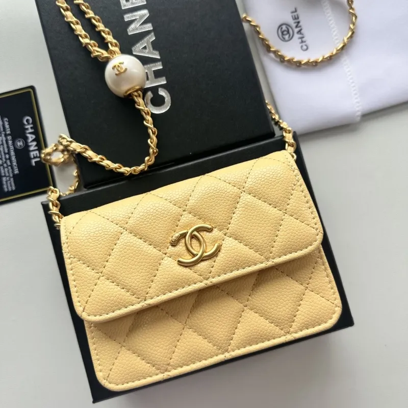 Chanel Satchel Bags-212