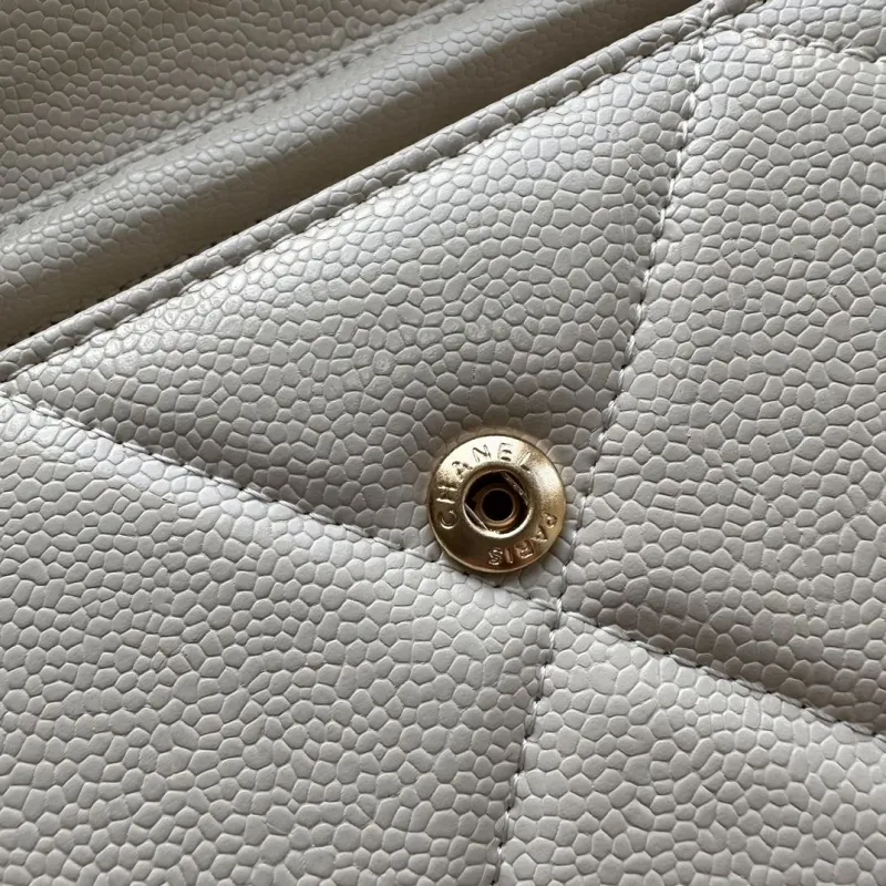 Chanel Satchel Bags-223 - Image 11