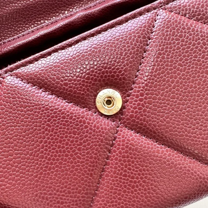 Alternative view of Chanel Satchel Bags-225