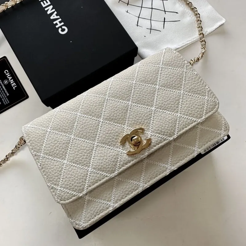 Chanel Satchel Bags-228