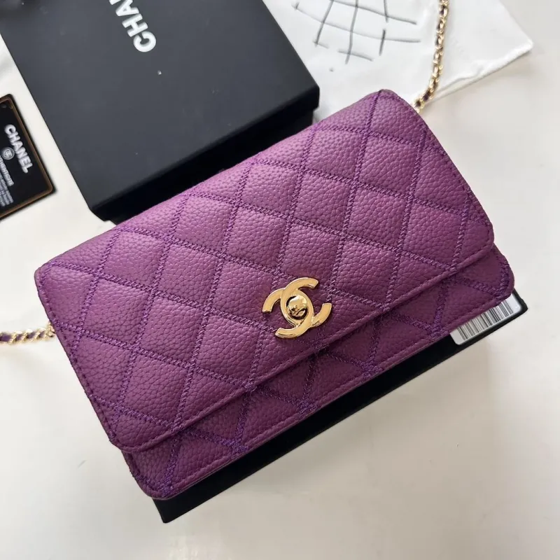 Chanel Satchel Bags-230