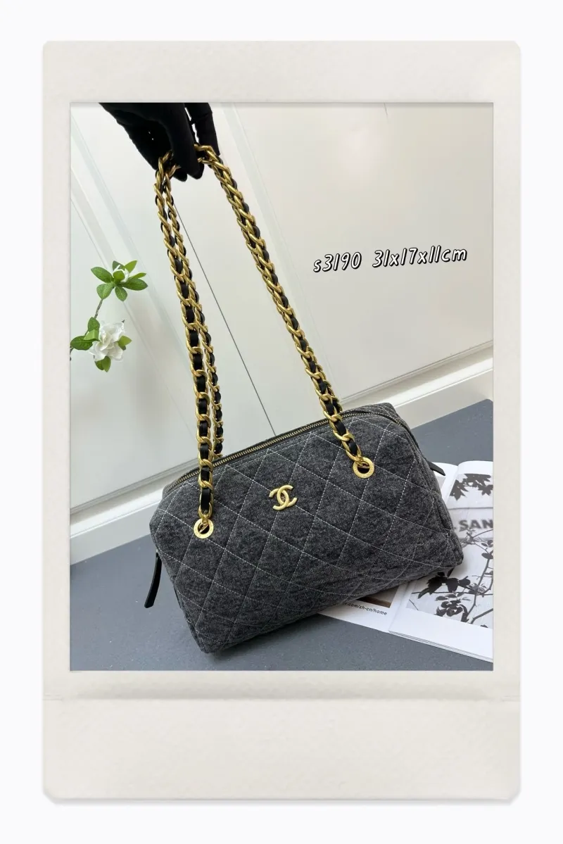 Chanel Satchel Bags-262