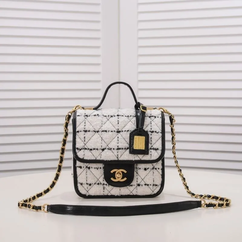 Chanel Satchel Bags-303