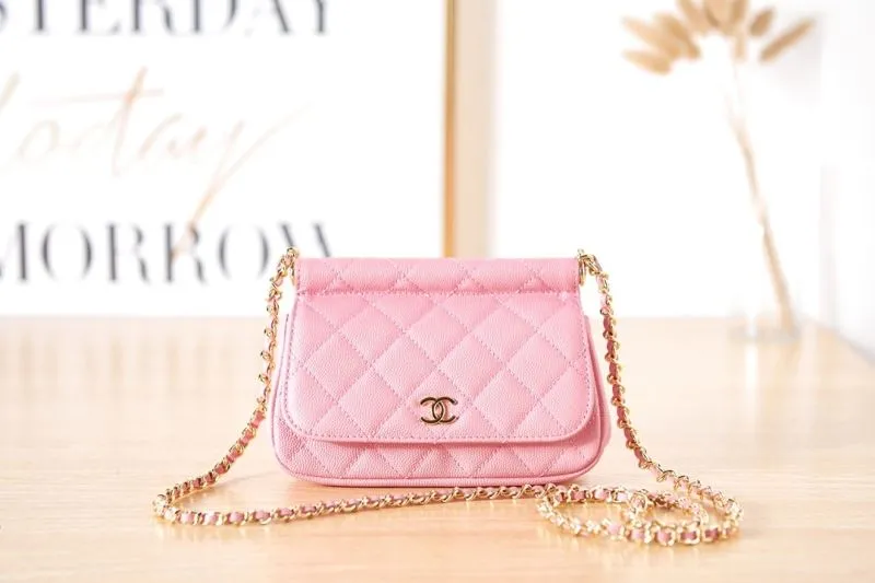Chanel Satchel Bags-312