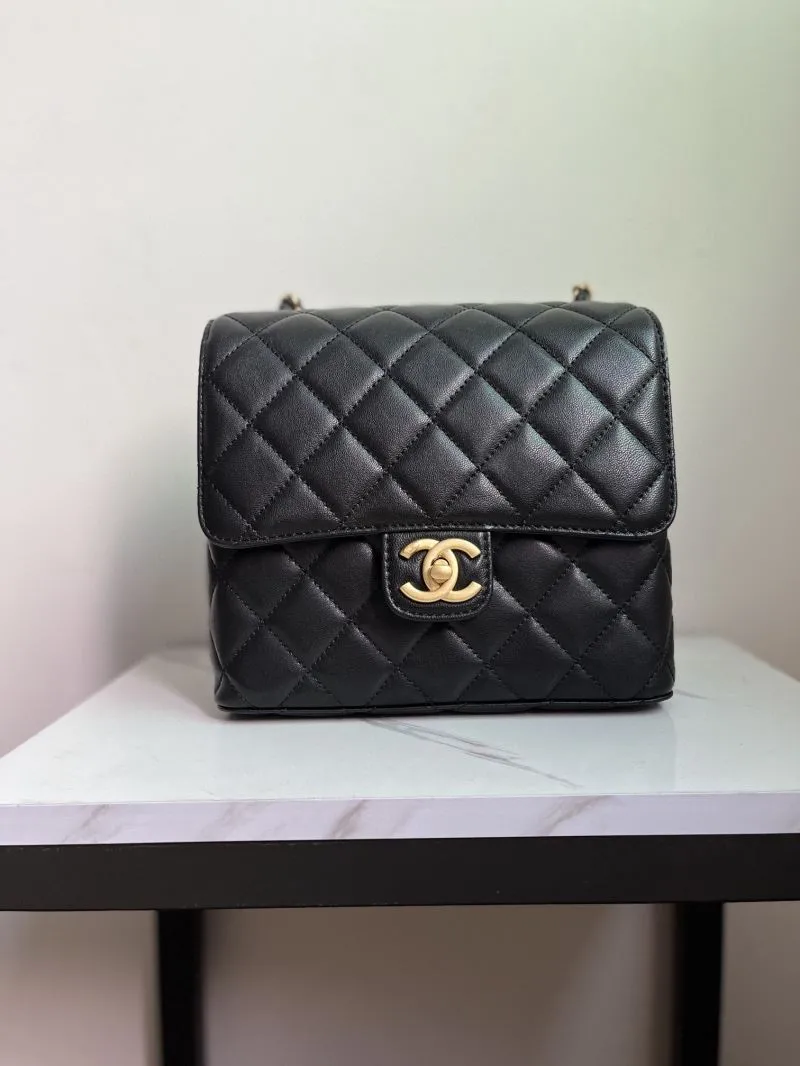 Chanel Satchel Bags-326