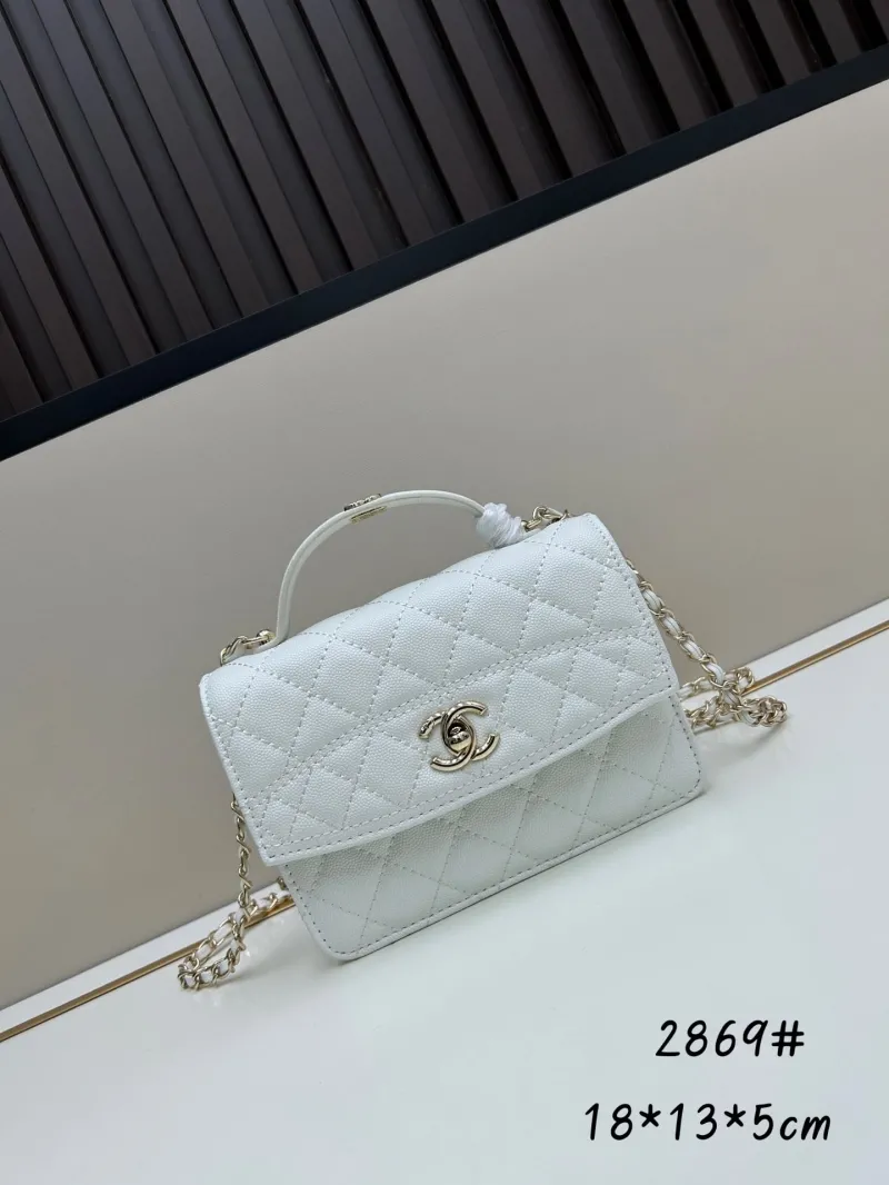 Chanel Top Handle Bags-6