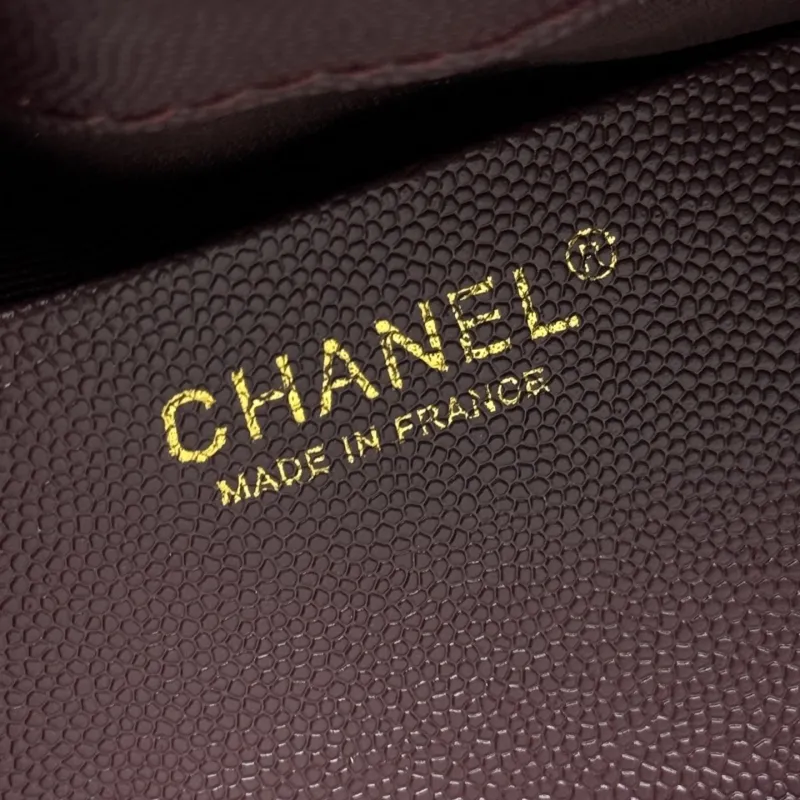Chanel Top Handle Bags-62 - Image 8