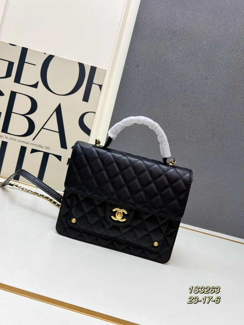 Chanel Top Handle Bags-108