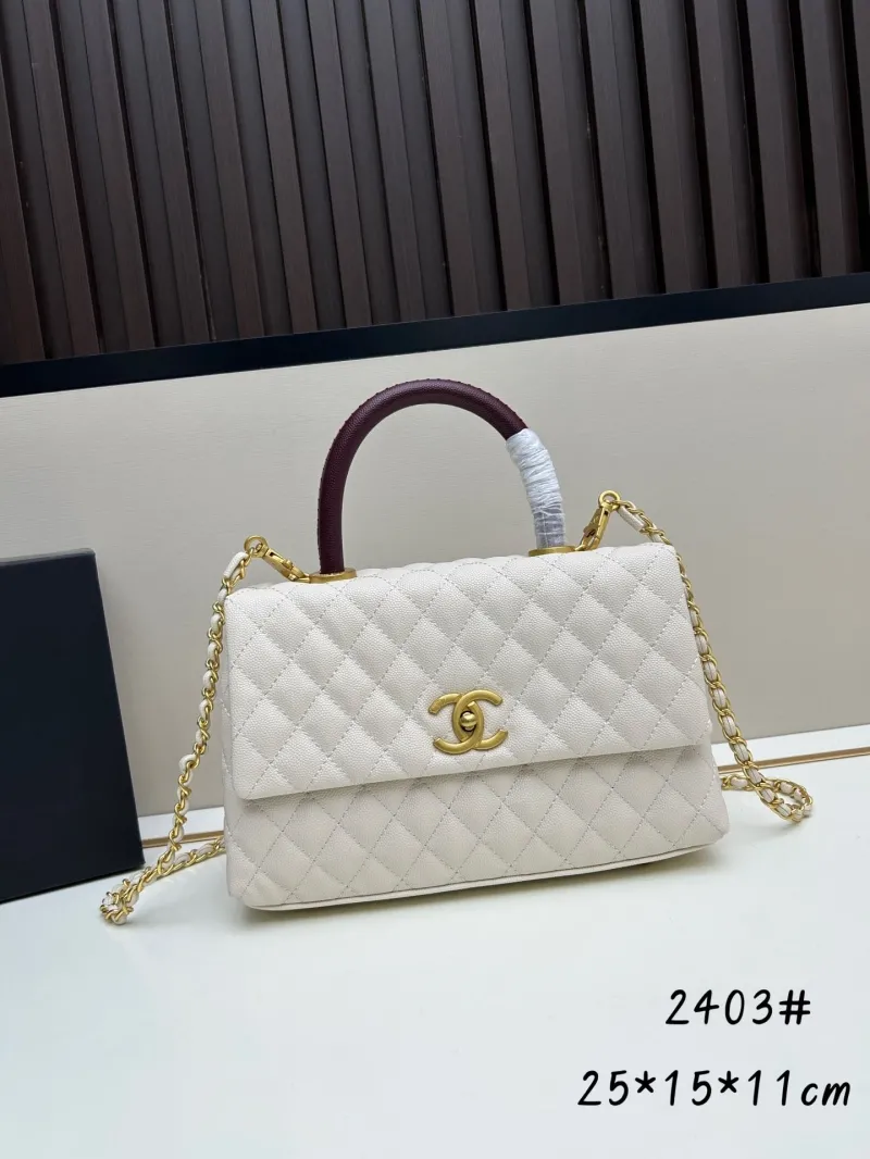 Chanel Top Handle Bags-256