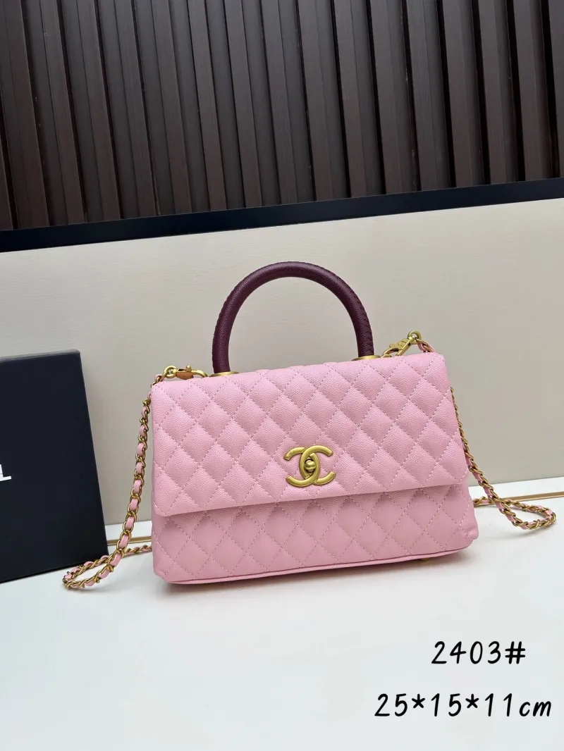 Chanel Top Handle Bags-257