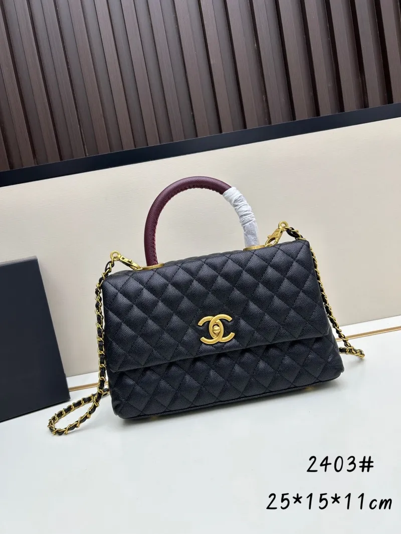 Chanel Top Handle Bags-262