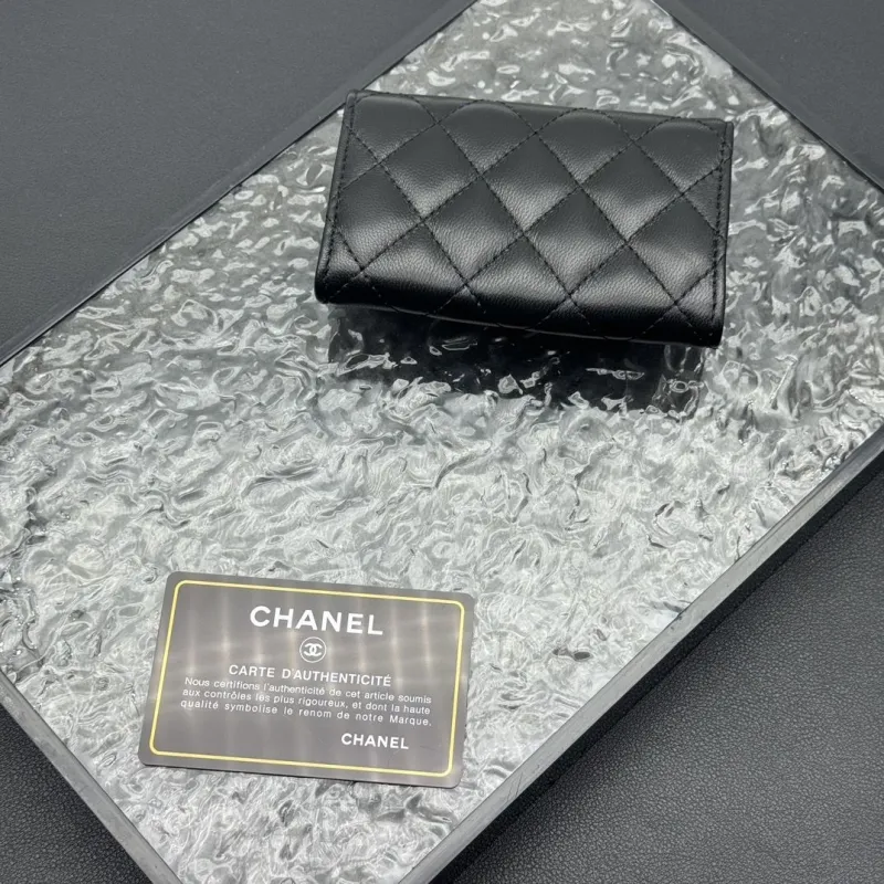 Alternative view of Chanel Wallets-676