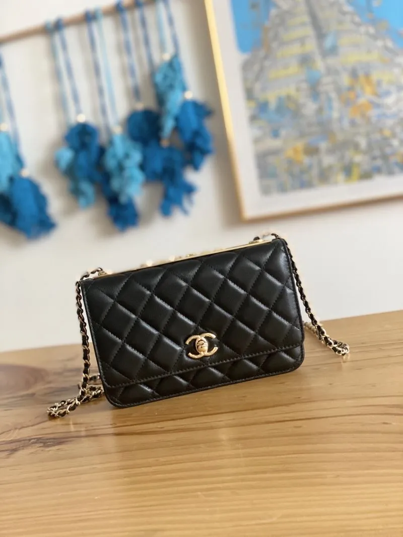 Chanel WOC Bags-3