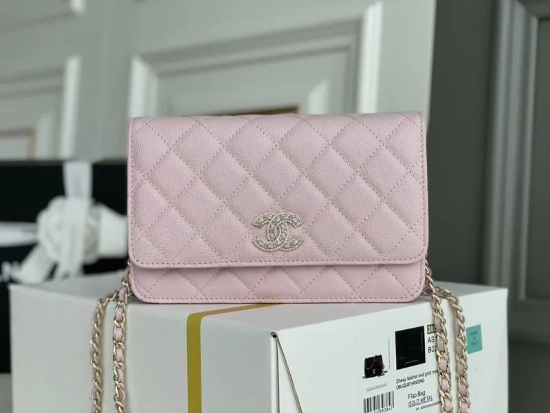 Chanel WOC Bags-8