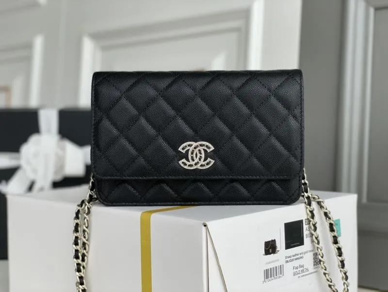 Chanel WOC Bags-9