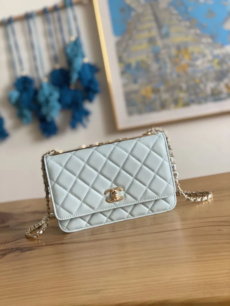 Chanel WOC Bags-12
