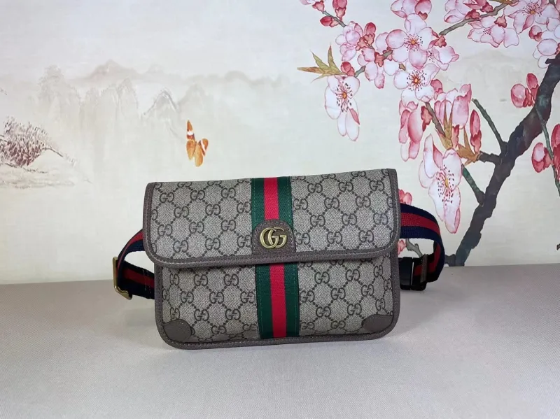 Gucci Waist & Chest Packs-1