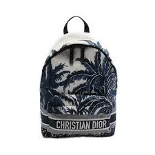 Dior Backpacks