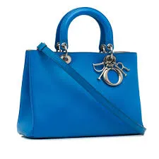 Dior Satchel bags