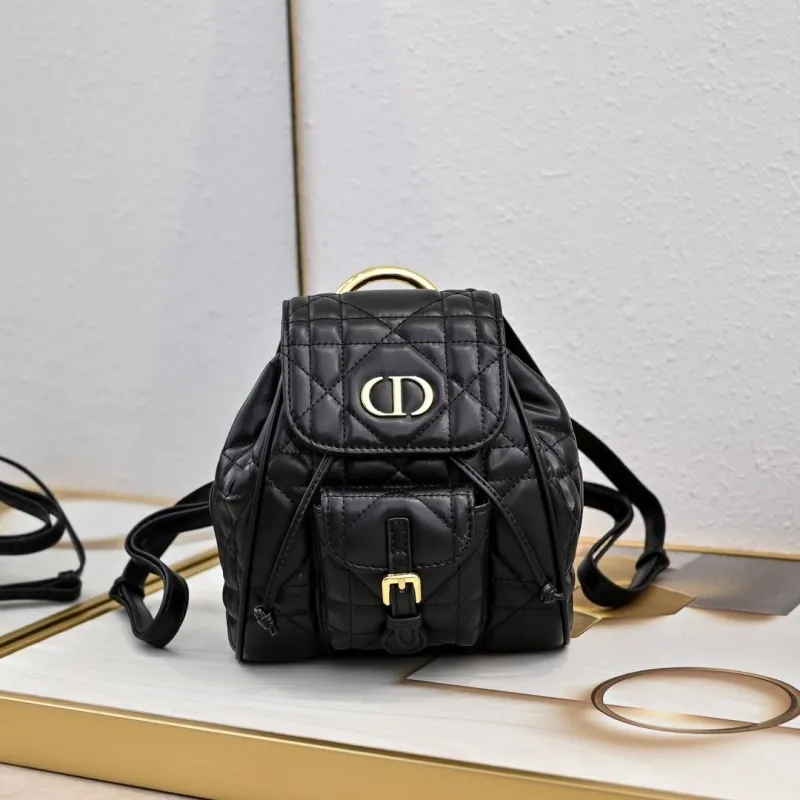 Dior Backpacks-13