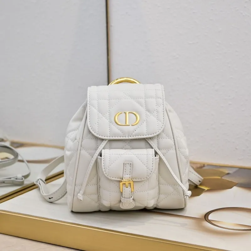 Dior Backpacks-14
