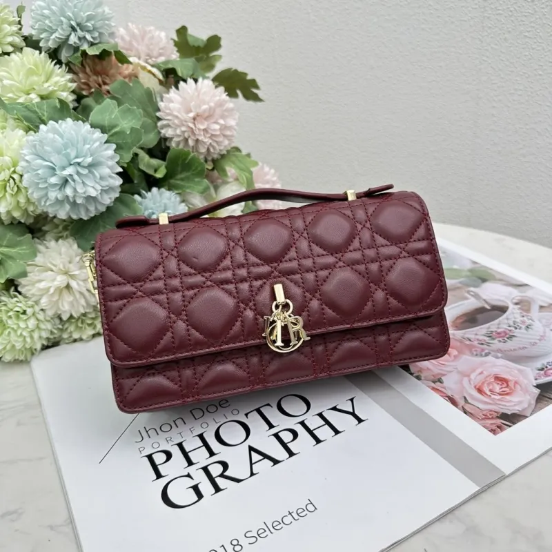 Dior Clutch Bags-16