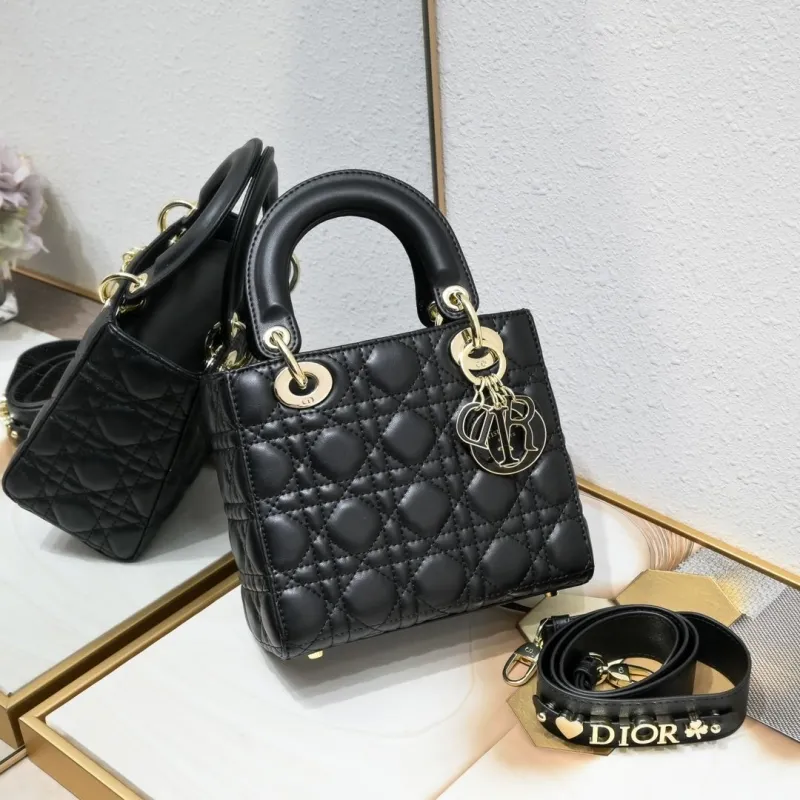 Dior My Lady Bags-37