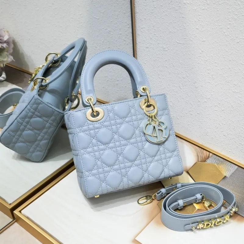 Dior My Lady Bags-38