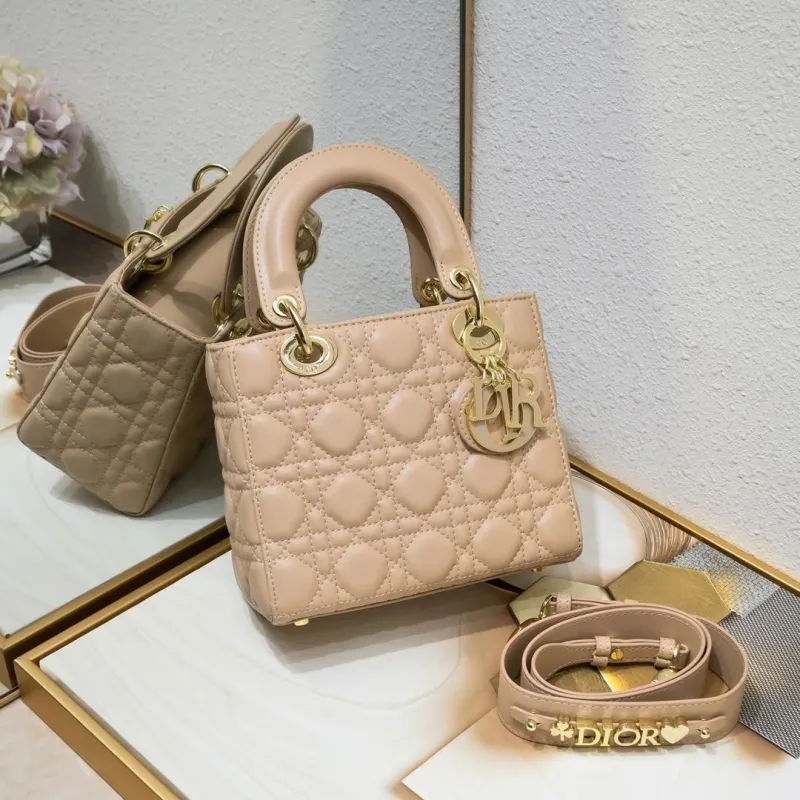 Dior My Lady Bags-40