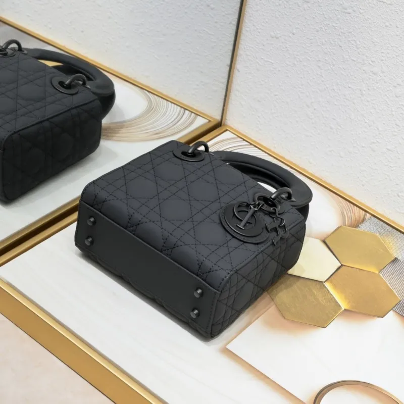 Dior My Lady Bags-66 - Image 6
