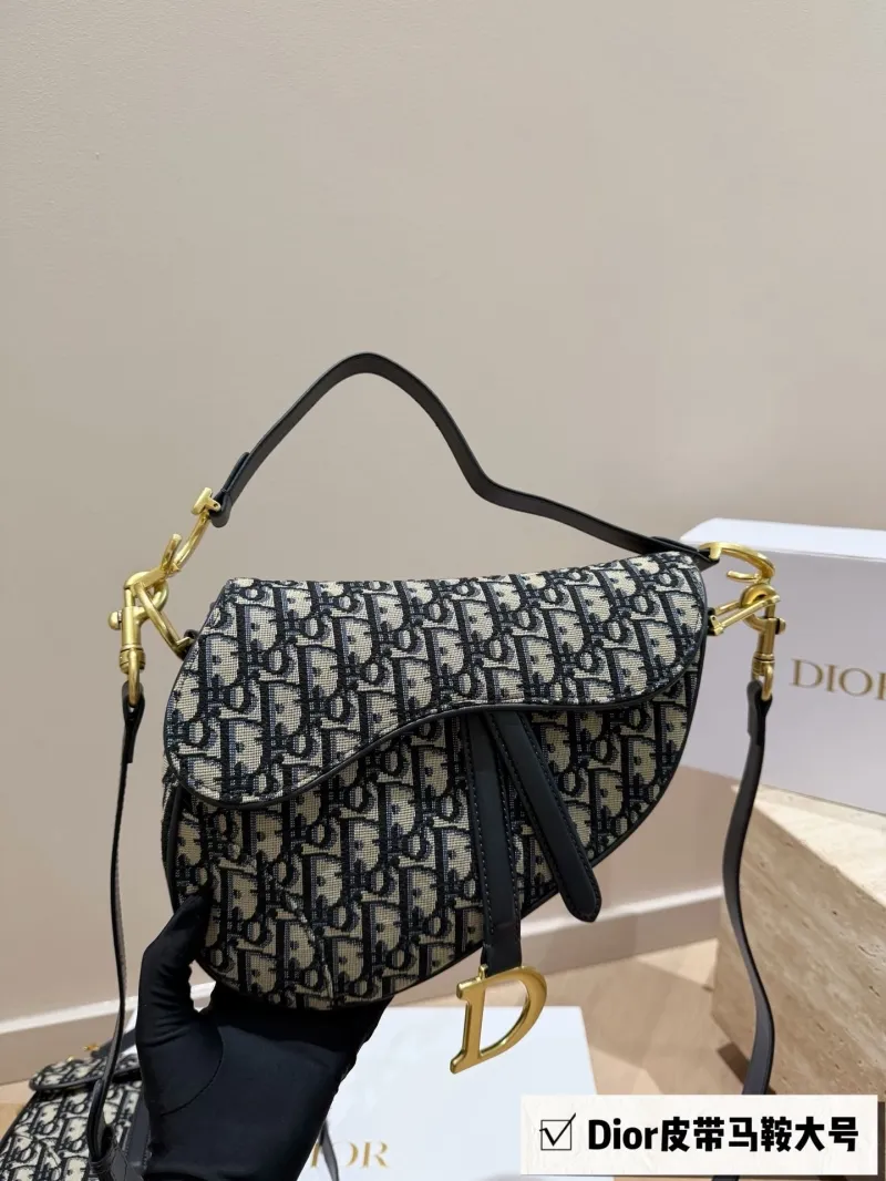 Dior Saddle Bags-3