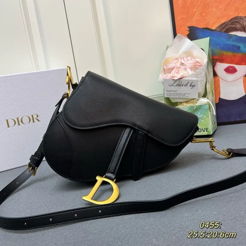 Dior Saddle Bags-5