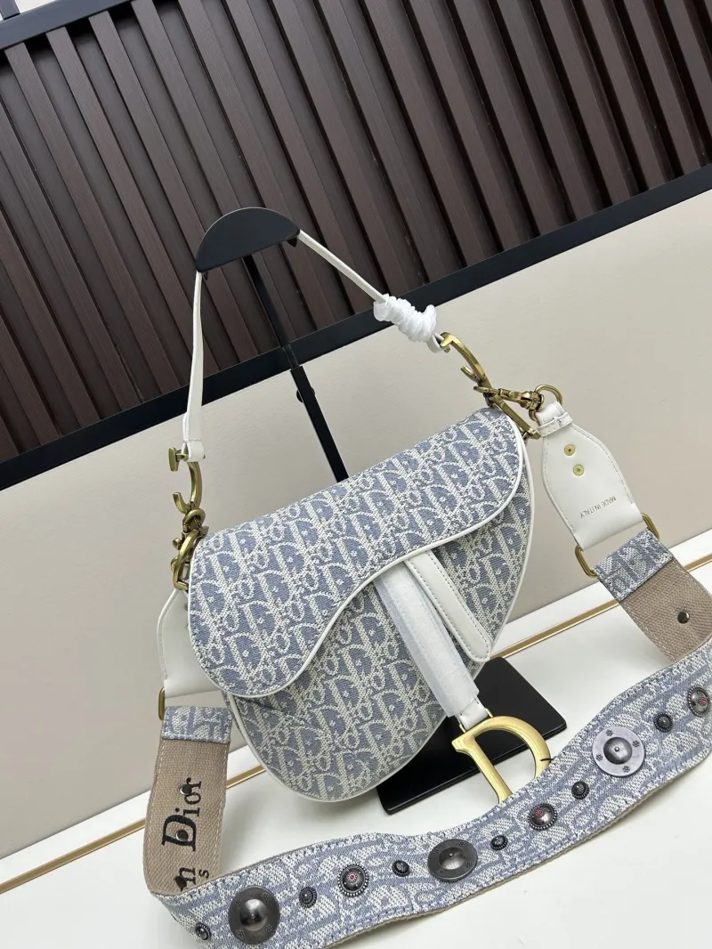 Dior Saddle Bags-8