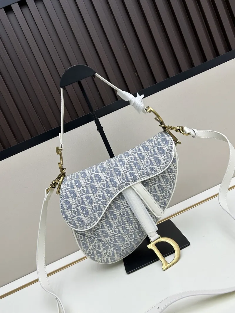 Dior Saddle Bags-9