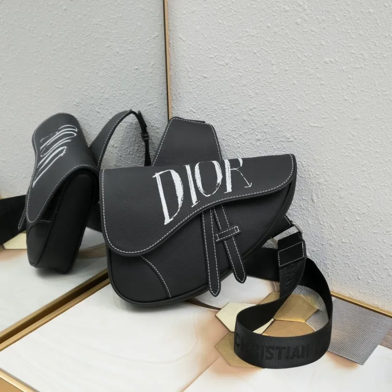 Dior Saddle Bags-12