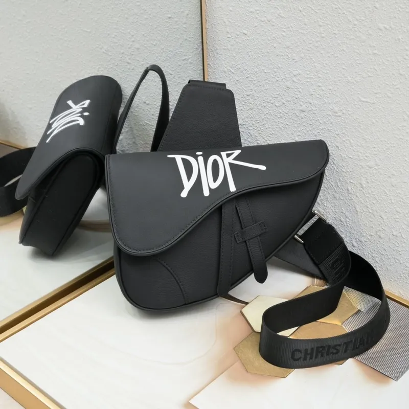 Dior Saddle Bags-13