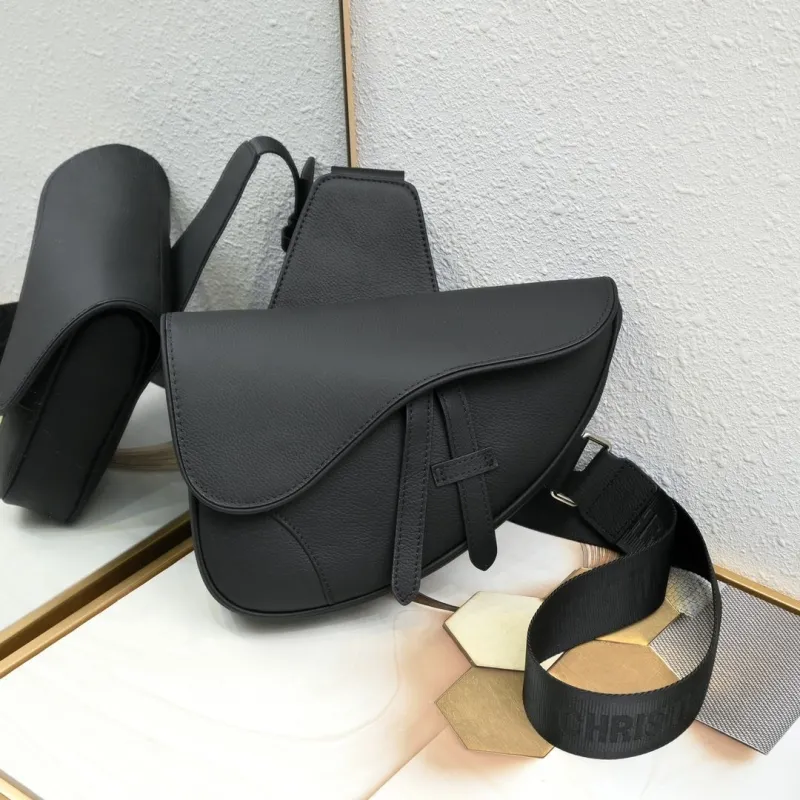 Dior Saddle Bags-14