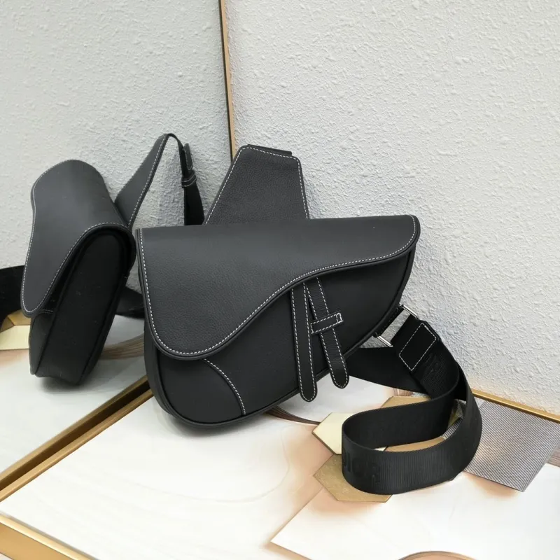 Dior Saddle Bags-15