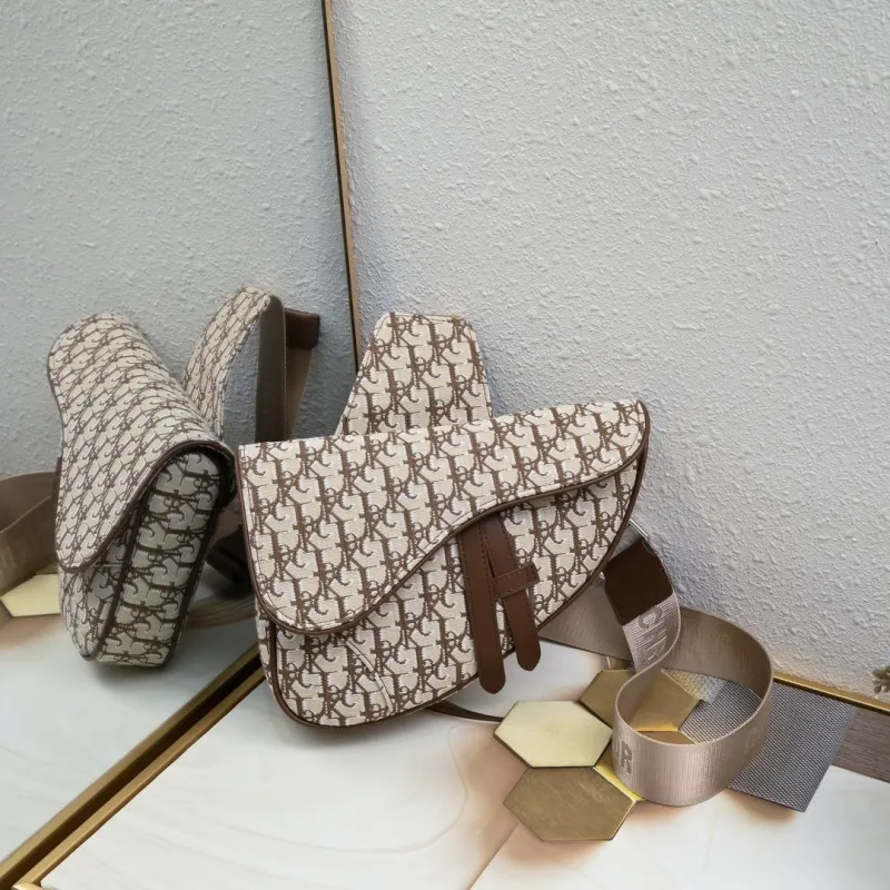 Dior Saddle Bags-18