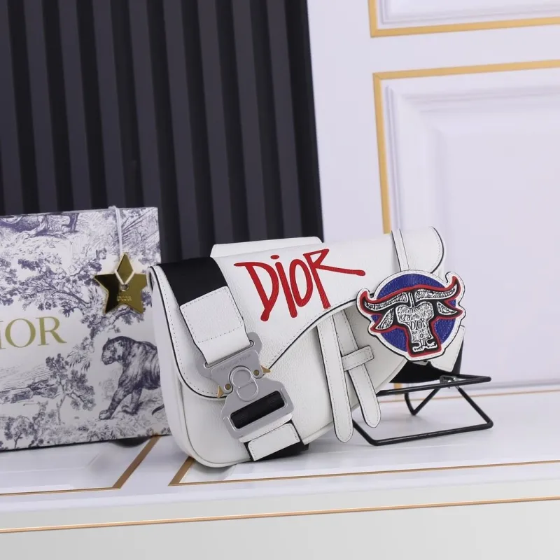 Dior Saddle Bags-19