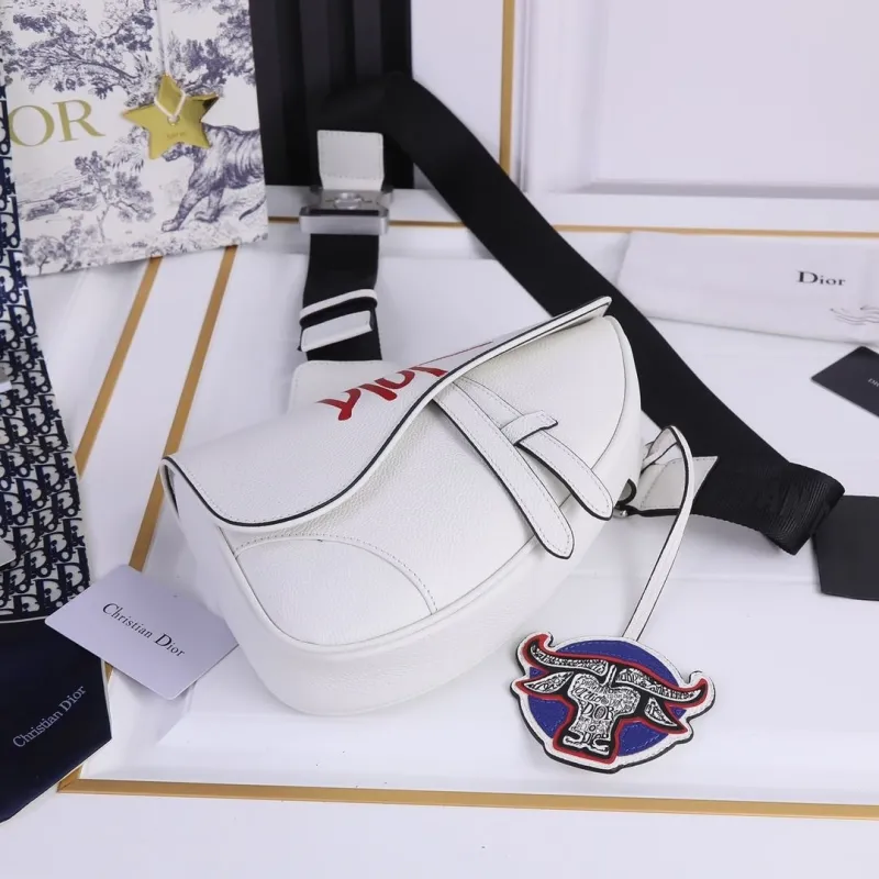 Dior Saddle Bags-19 - Image 3