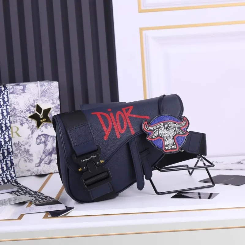 Dior Saddle Bags-20