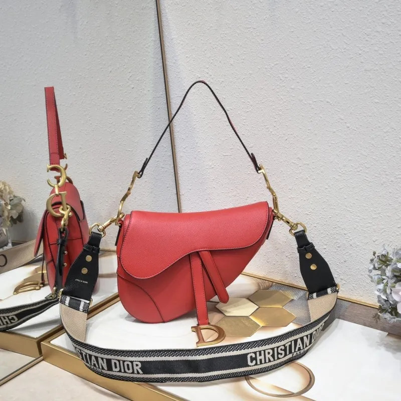 Dior Saddle Bags-21