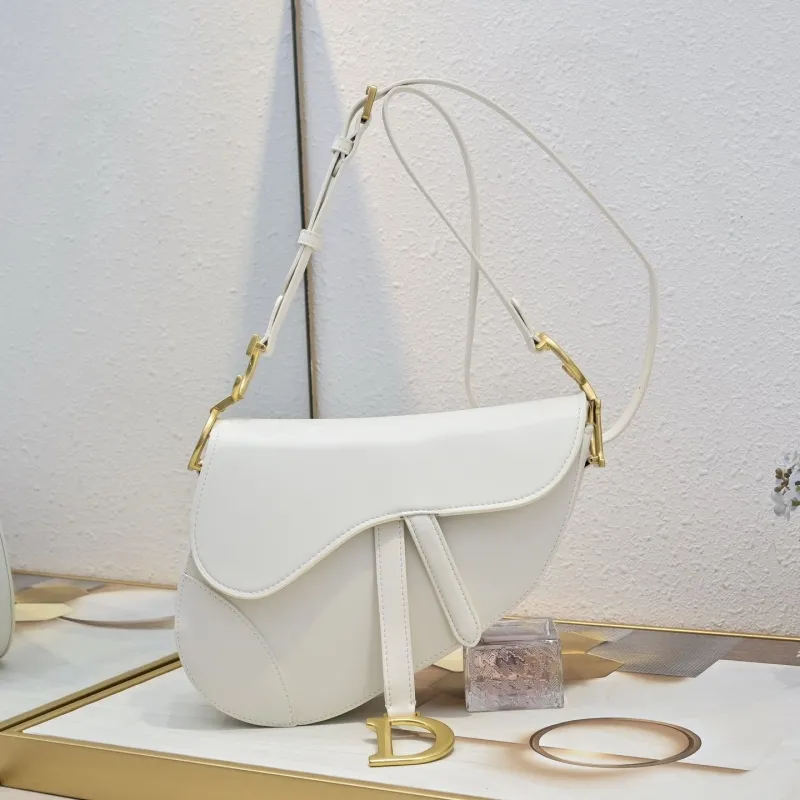 Dior Saddle Bags-49
