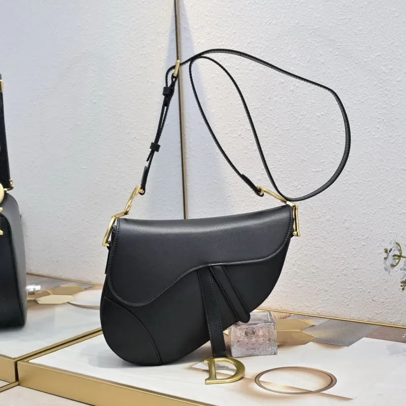 Dior Saddle Bags-50