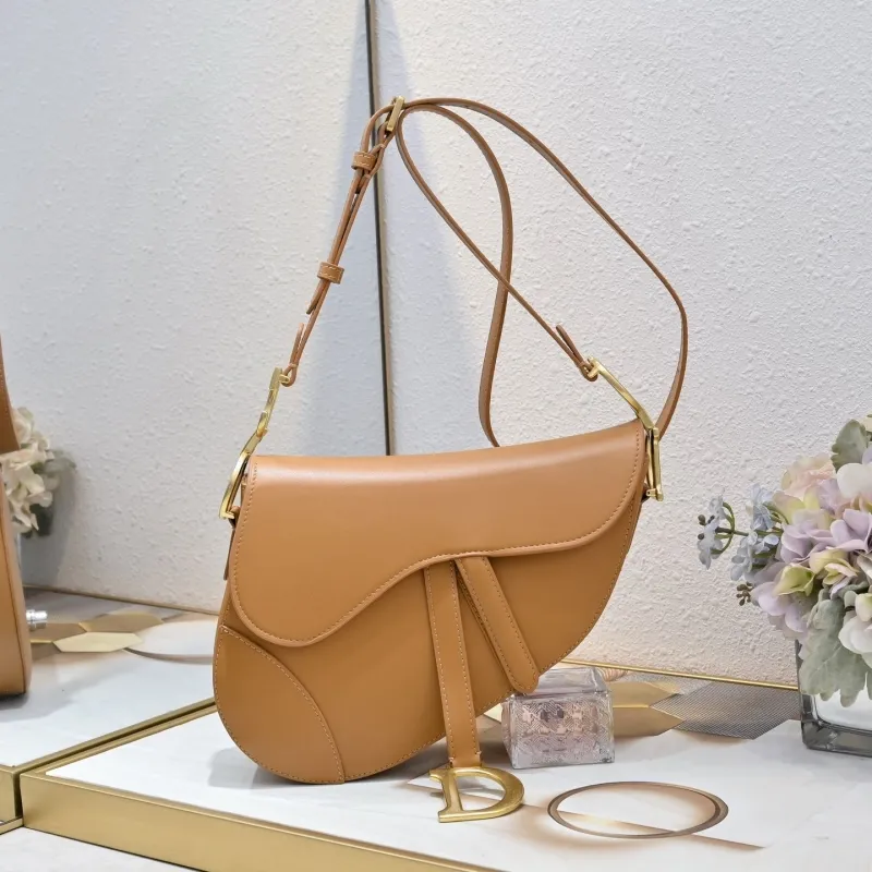 Dior Saddle Bags-51