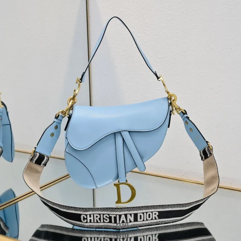 Dior Saddle Bags-53
