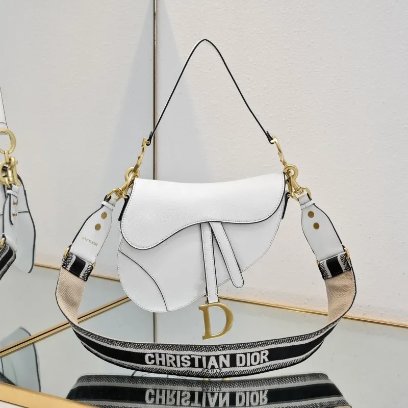 Dior Saddle Bags-56