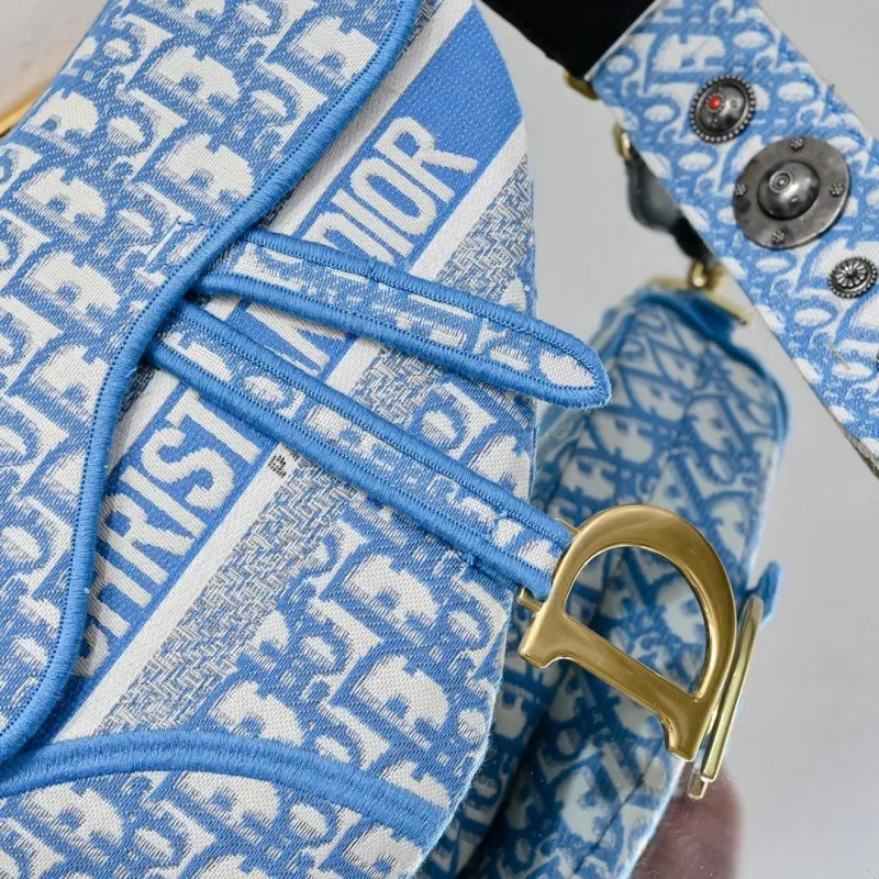 Dior Saddle Bags-60 - Image 6